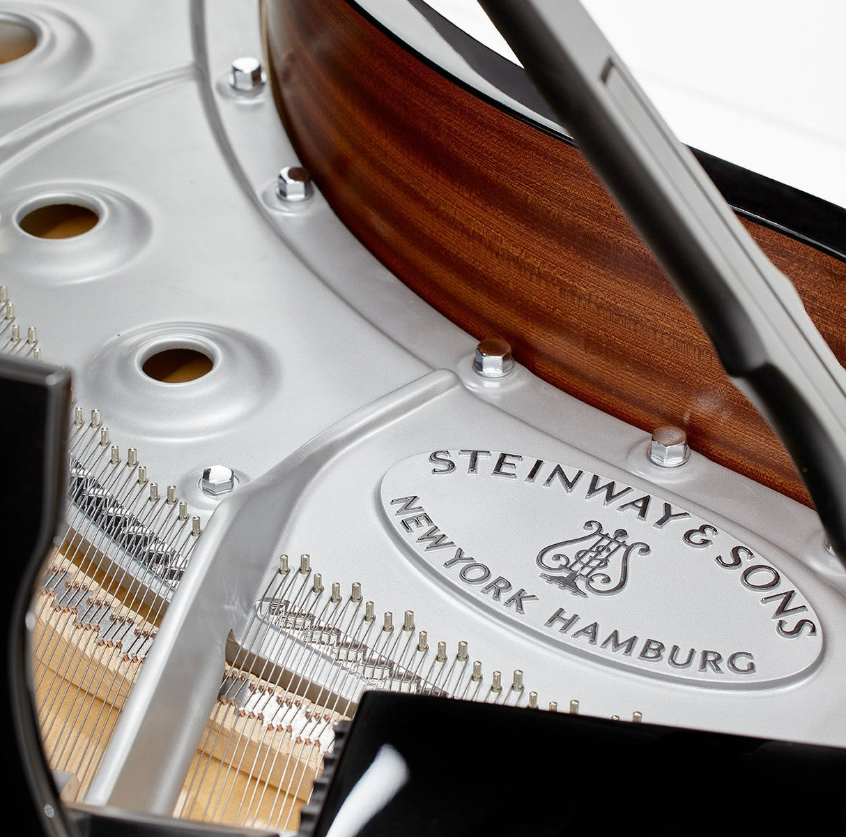 Steinway & Sons Minneapolis-St. Paul Skyline Grand Piano