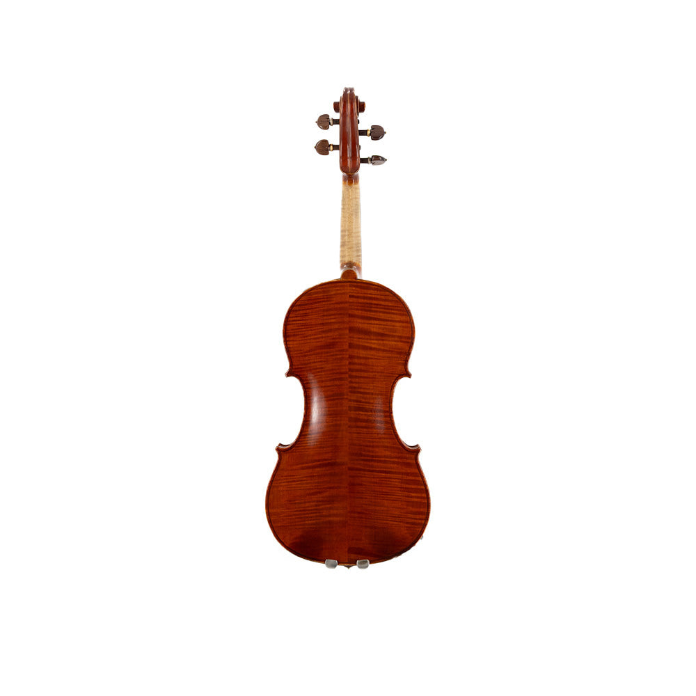 Consignment Angela Spertzaga Violin - the back side of the violin