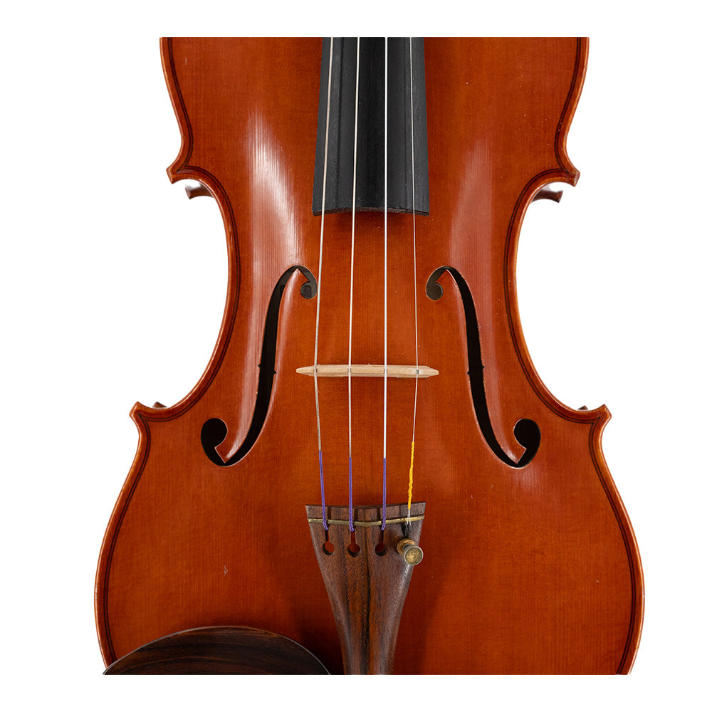 Consignment Angela Spertzaga Violin - close up of the front of the body
