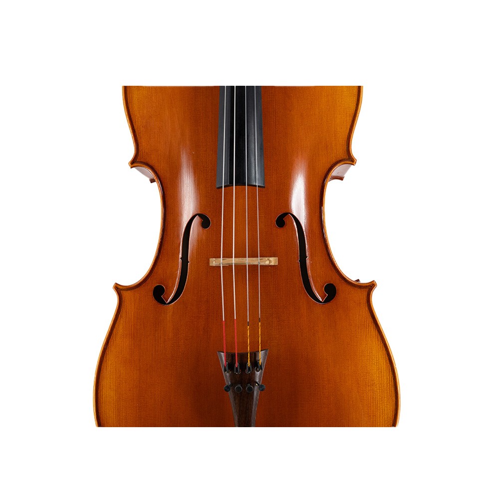 Consignment Klaus Heffler Cello - a close up of the front of the body