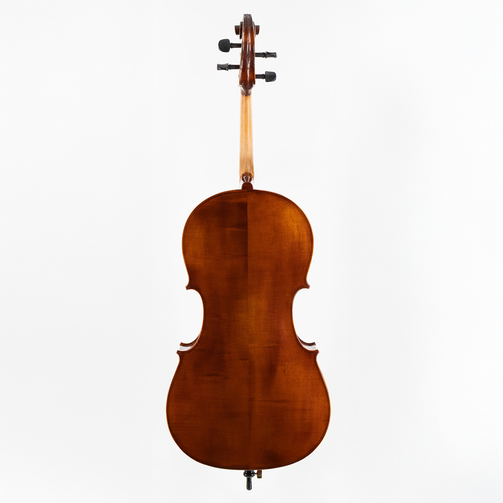 Eastman 315 Cello Back