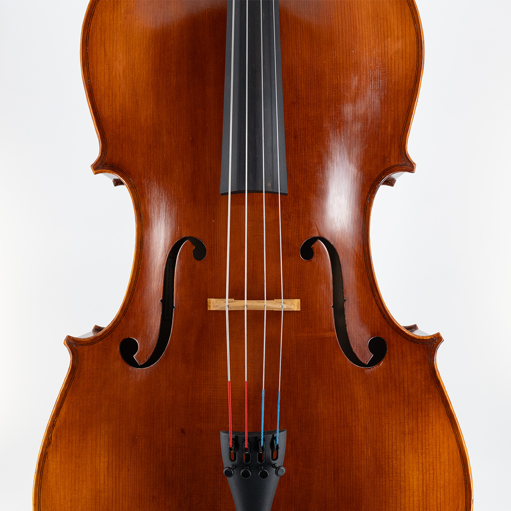 Eastman 315 Cello Closeup
