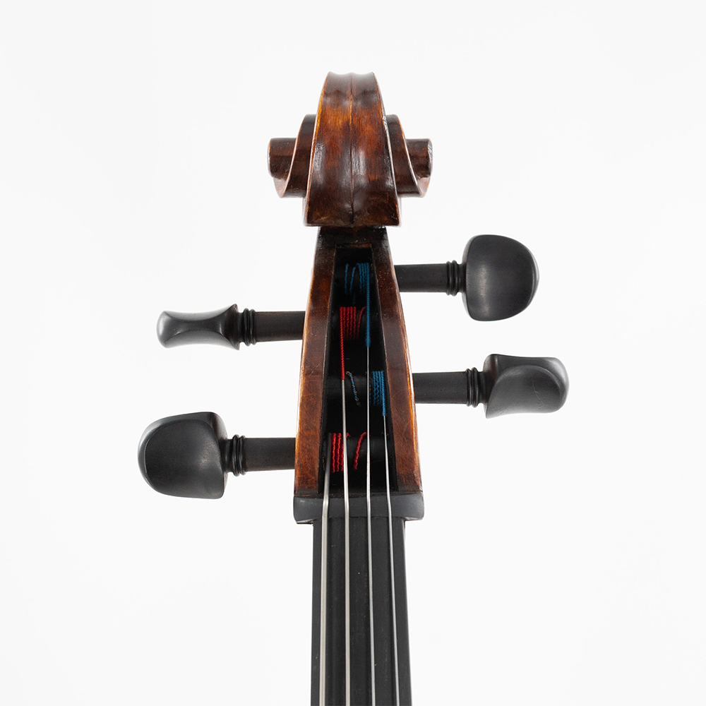 Eastman 315 Cello Detail 2