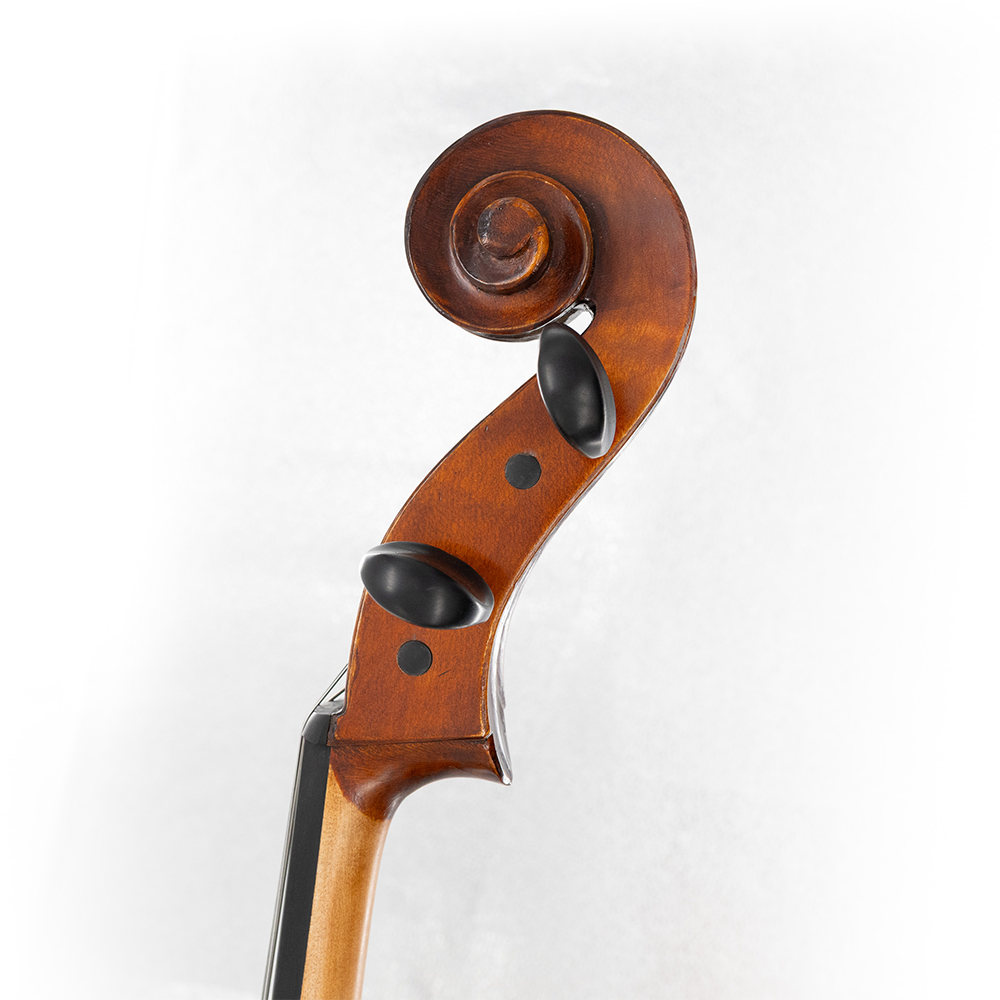 Eastman 315 Cello Detail