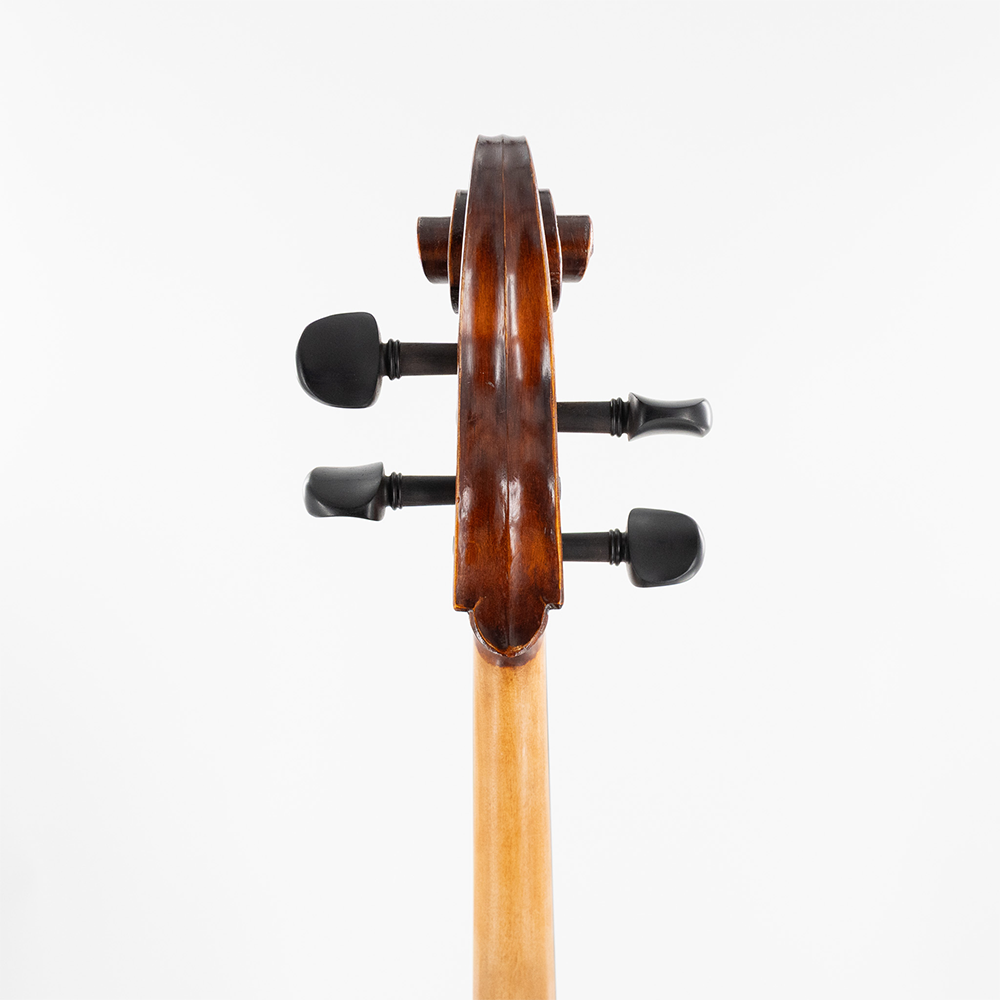 Eastman 315 Cello Detail 1