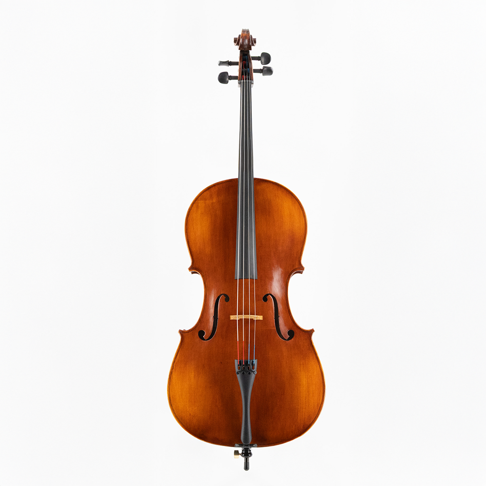 Eastman 315 Cello Front