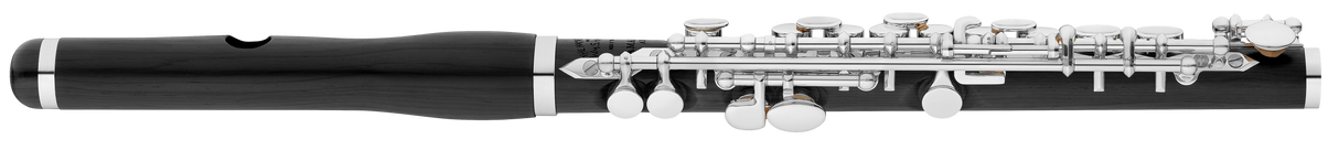 Amadeus AP86 Piccolo Back