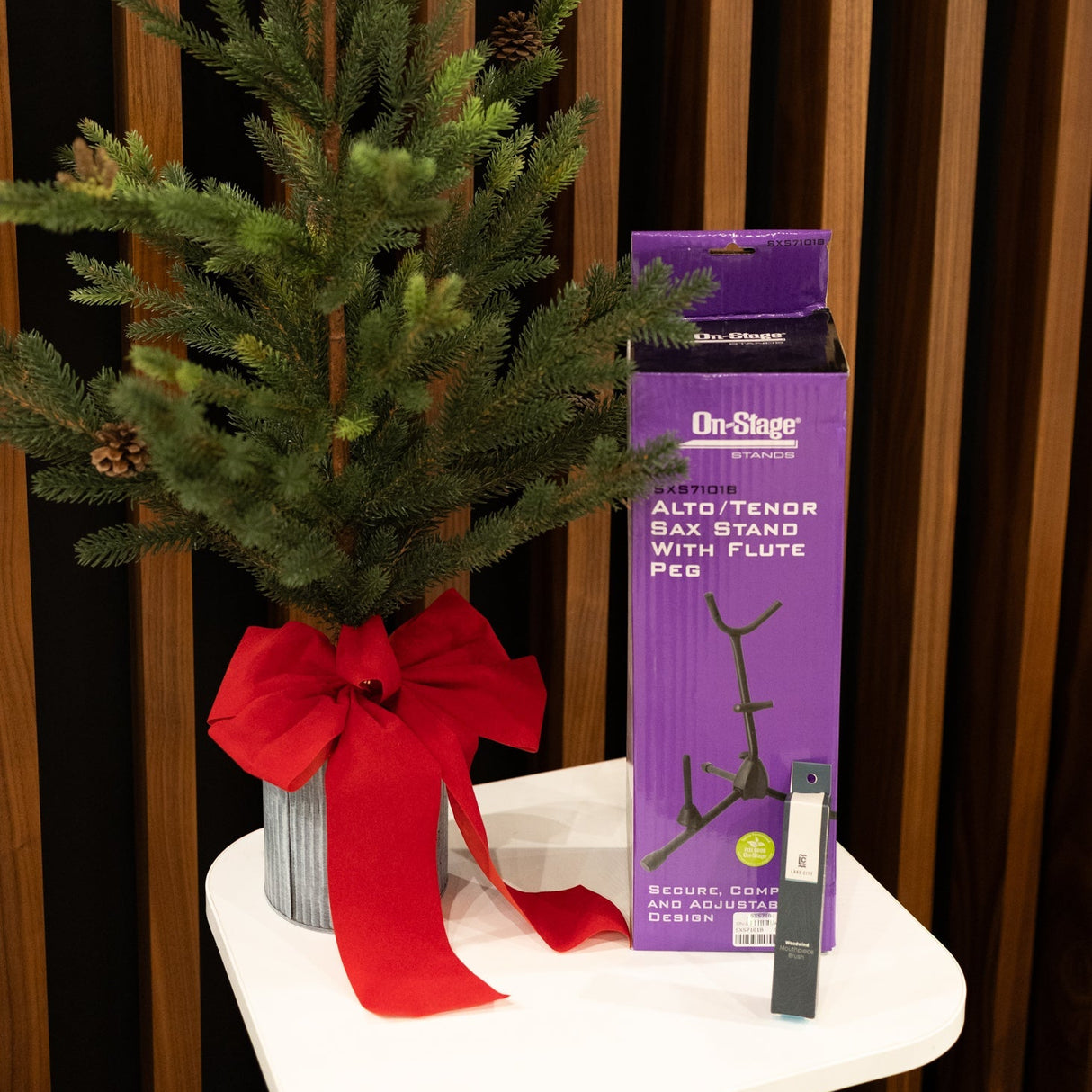 Alto/Tenor Saxophone Holiday Gift Bundle