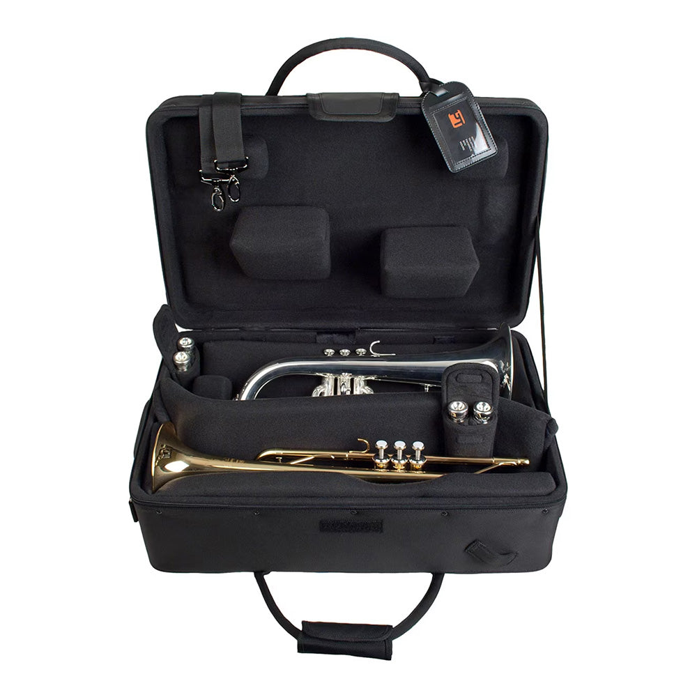 Protec IPAC Triple Horn Case