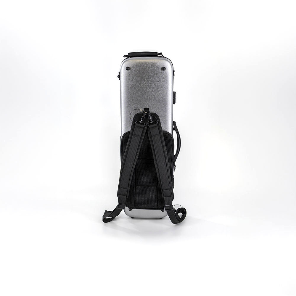 Lake City Hardshell 4/4 Violin Case Back Silver