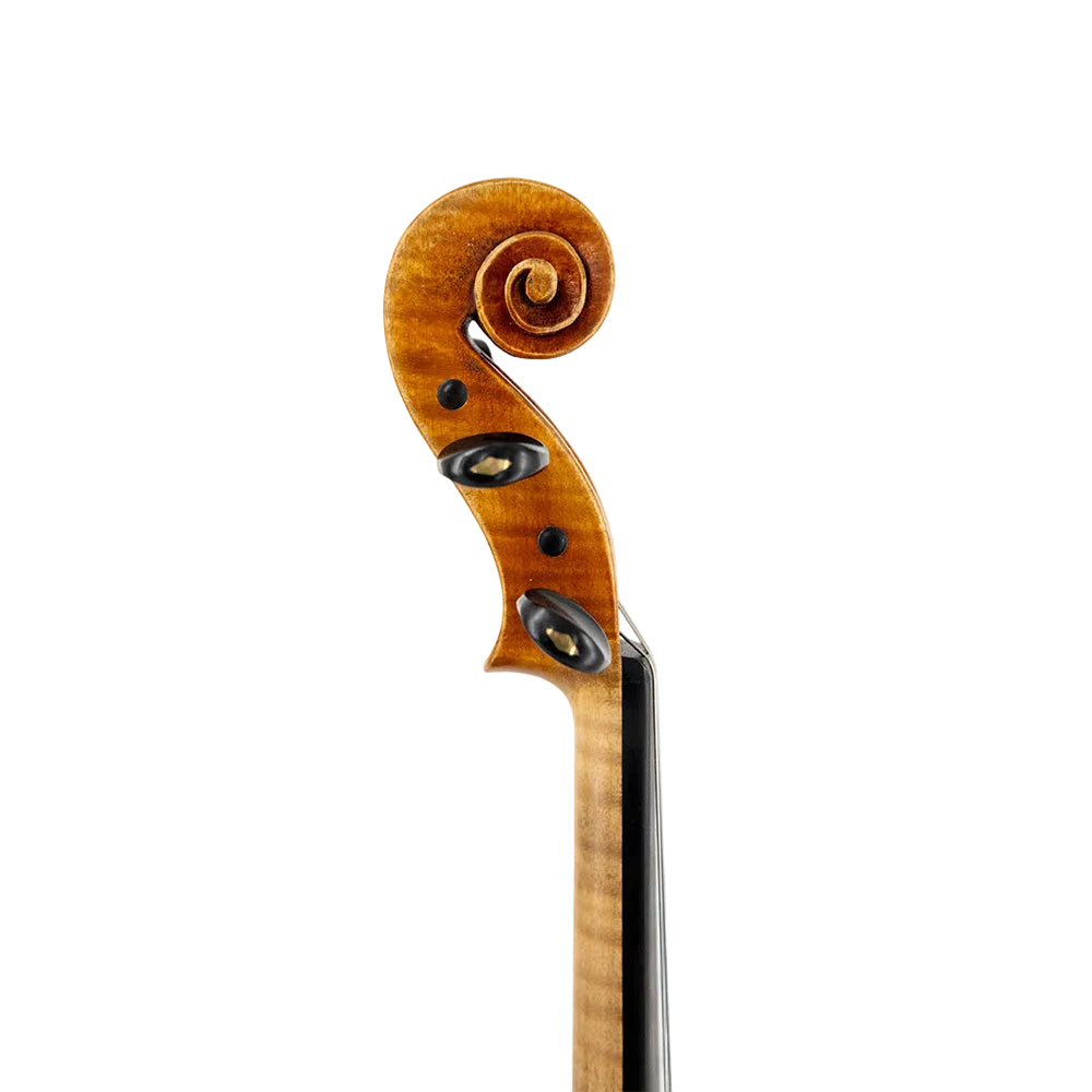 William Robert Scott 2017 Violin Scroll