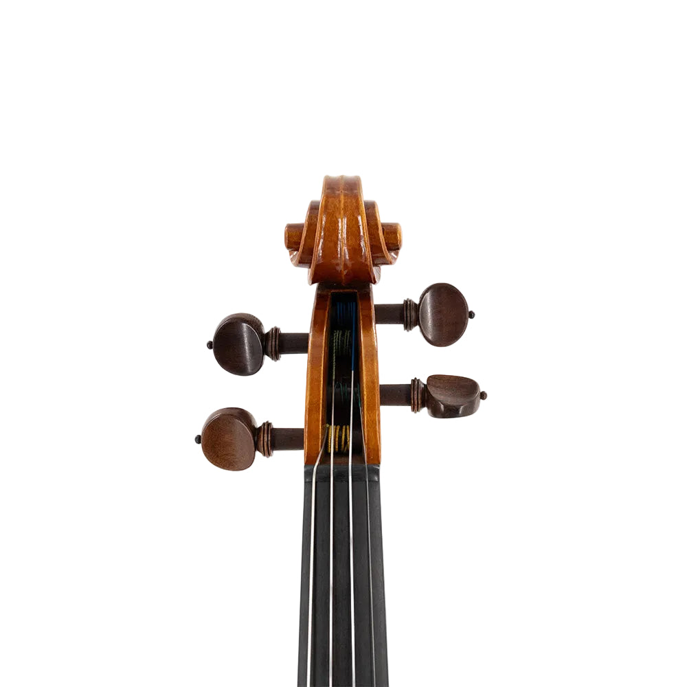 William Robert Scott 2010 Violin