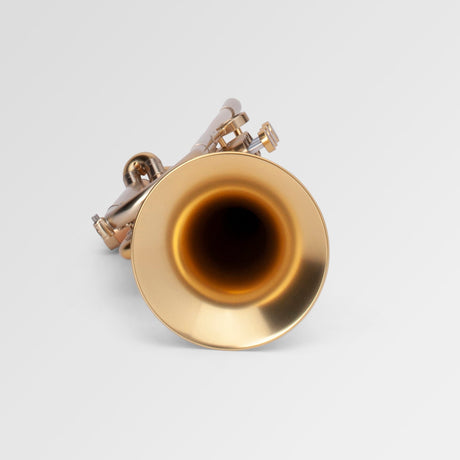 Adams A4LT Bb Trumpet - looking down the bell
