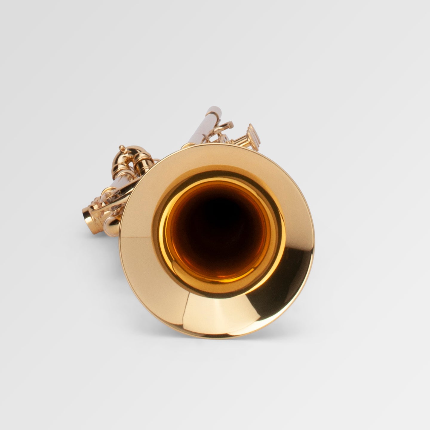 Adams A5 Bb Trumpet - looking down the bell