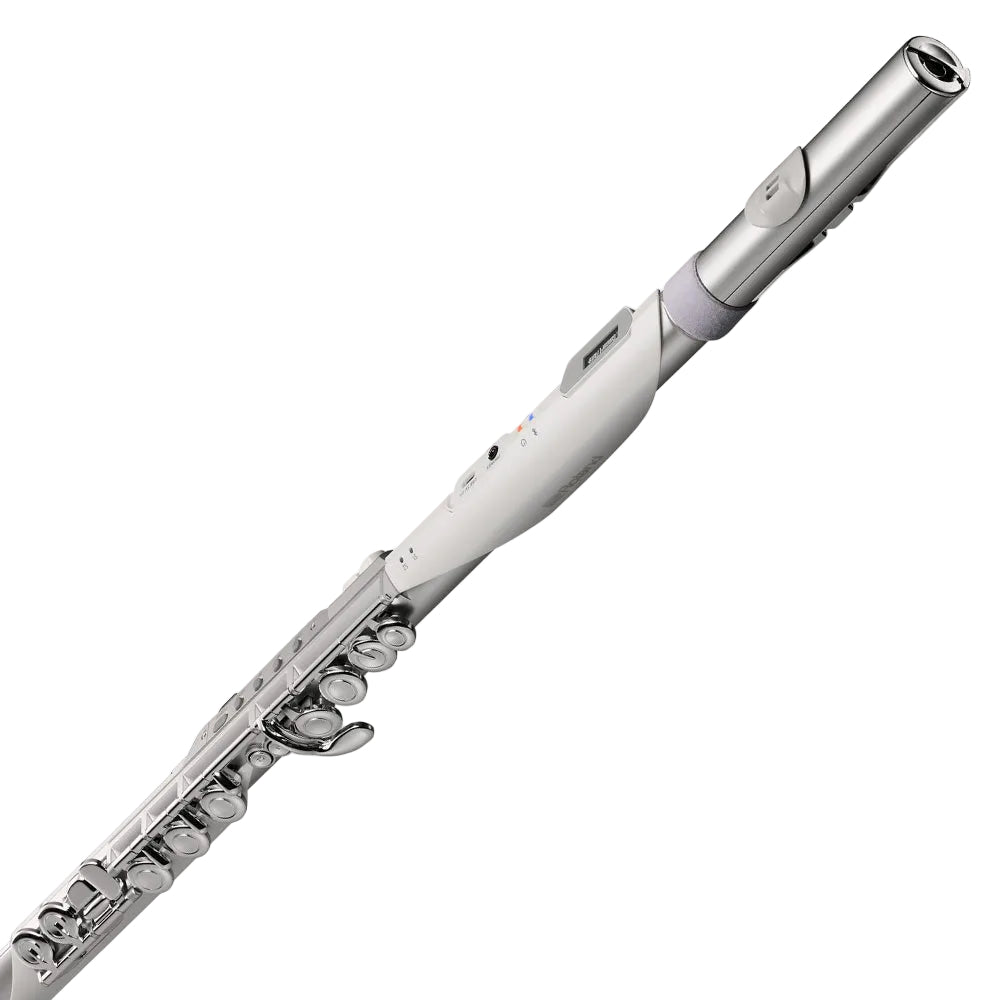 Roland Aerophone Brisa Digital Wind Instrument