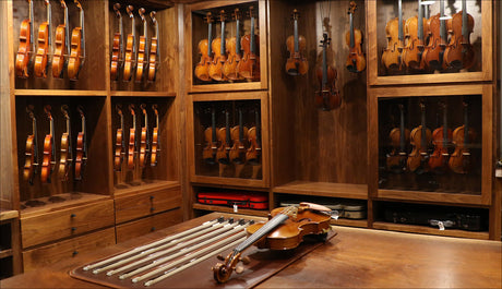 Violin Comparison: Amazon Instrument Packages vs. Professional Shop Violins