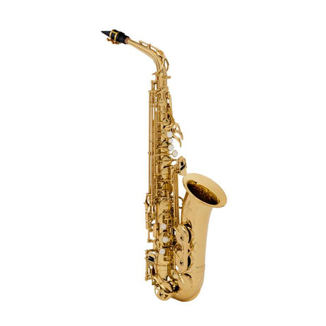 Saxophone School Accessories