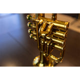 Pre-Owned Selmer Maurice Andre Piccolo Trumpet 2