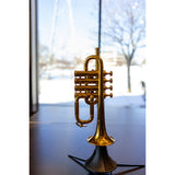 Pre-Owned Selmer Maurice Andre Piccolo Trumpet
