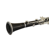 Selmer Paris Signature Soprano Clarinet