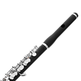 Haynes Q Series Piccolo Beauty