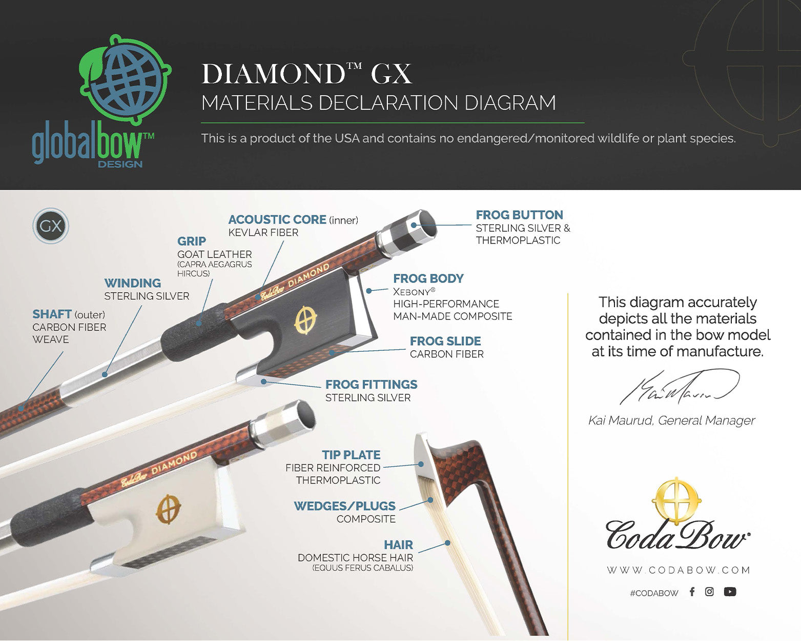 CodaBow Diamond GX Violin Bow – Schmitt Music