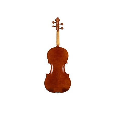 Consignment Laurence Anderson Violin - the backside