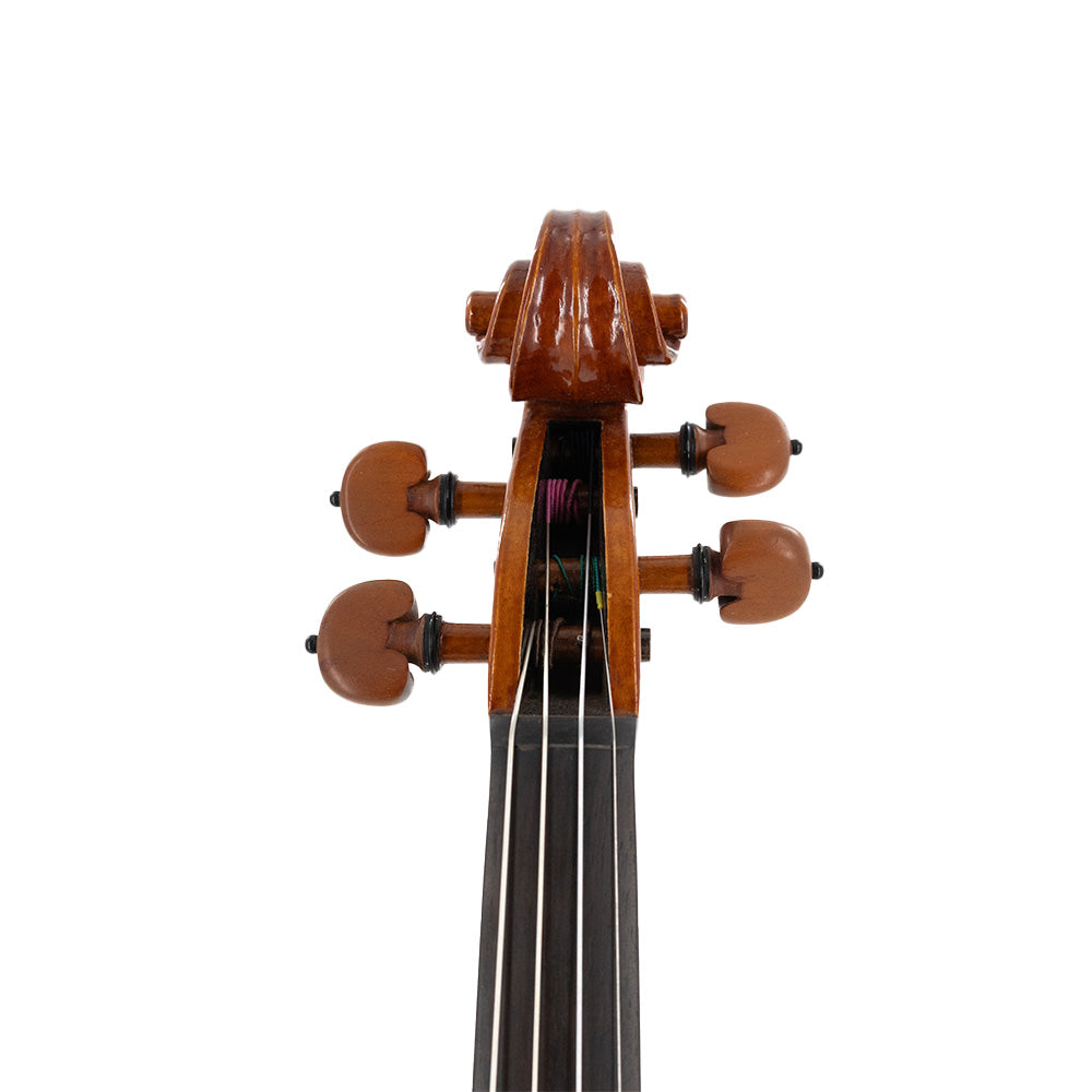 Consignment Laurence Anderson Violin - close up on the front of the scroll and tuning pegs