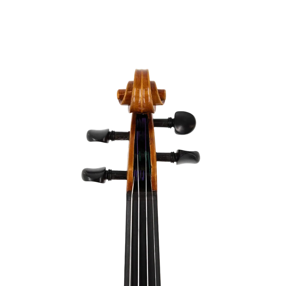 Sheng Family Nakazawa Violin | The Violin Shop at Schmitt Music