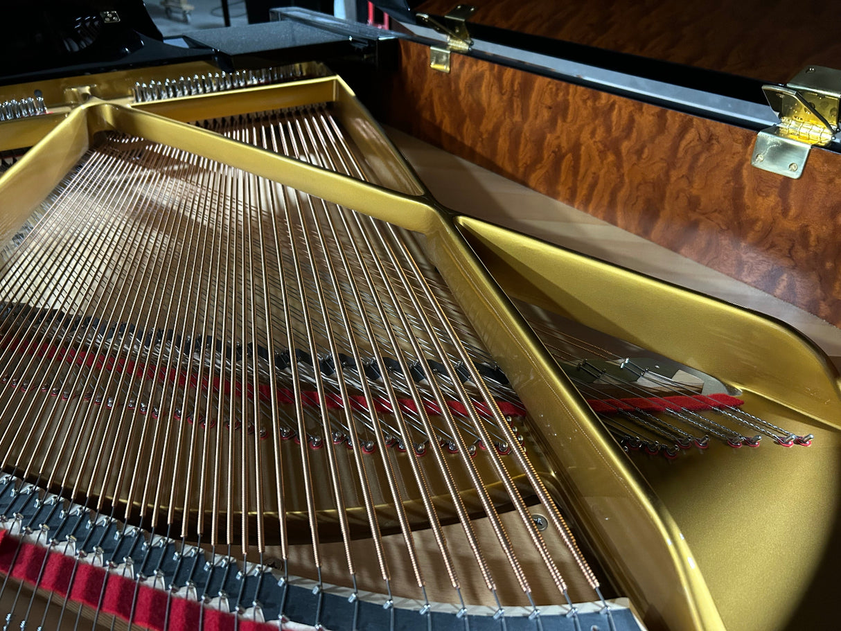 Close-up of a piano's strings and action mechanism
