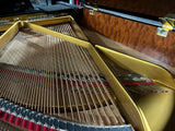 Close-up of a piano's strings and action mechanism