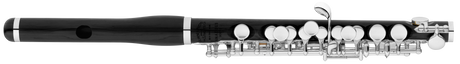 Amadeus AP86 Piccolo Front