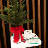 Flute Holiday Gift Bundle