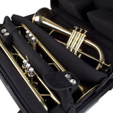 Protec Quad Horn IPAC Case with Wheels