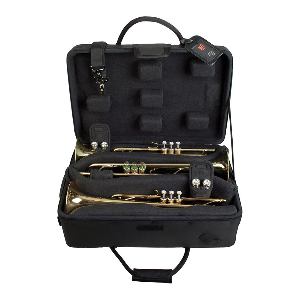 Protec IPAC Triple Horn Case