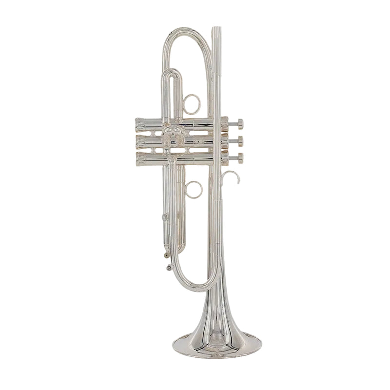 Explore New & Used Piccolo Trumpets | Top Brands – Schmitt Music