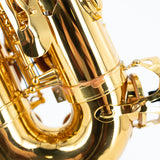 Ready-to-Play Used Student Alto Saxophone