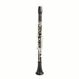 Royal Global Polaris Clarinet on a white background