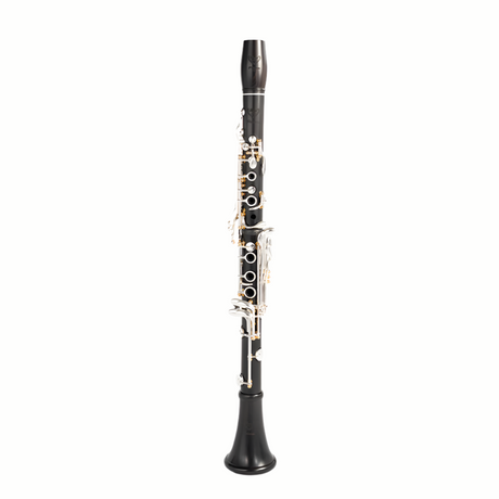 Royal Global Polaris Clarinet on a white background