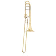 S.E. Shires TBVNYA Large Bore Tenor Trombone