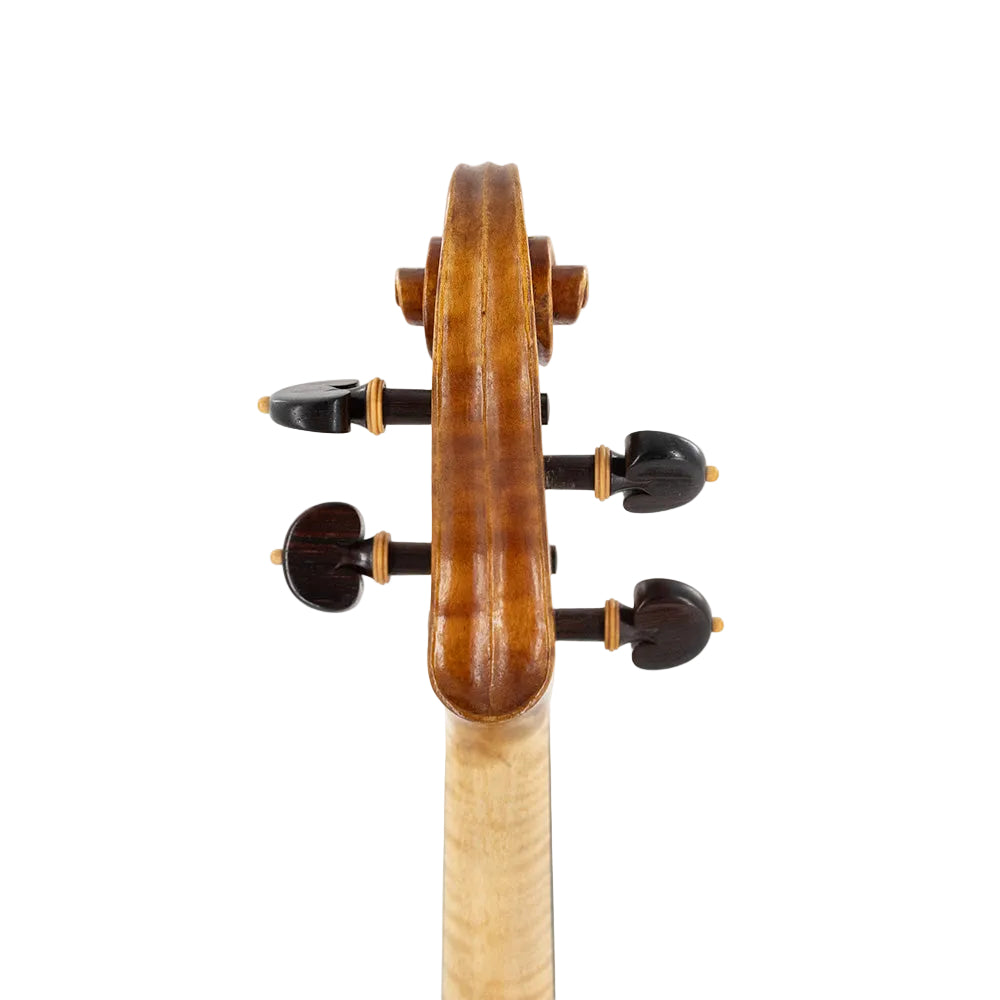 VSA Group Build 16" Viola