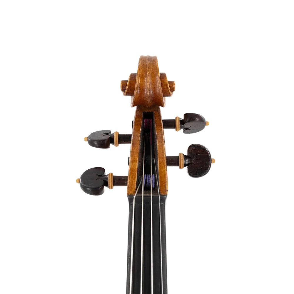 VSA Group Build 16" Viola