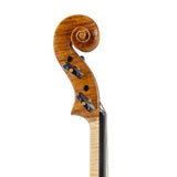 VSA Group Build 16" Viola