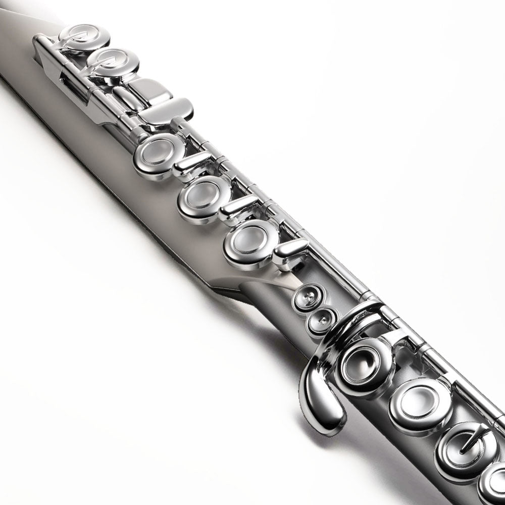 Roland Aerophone Brisa Digital Wind Instrument | Schmitt Music
