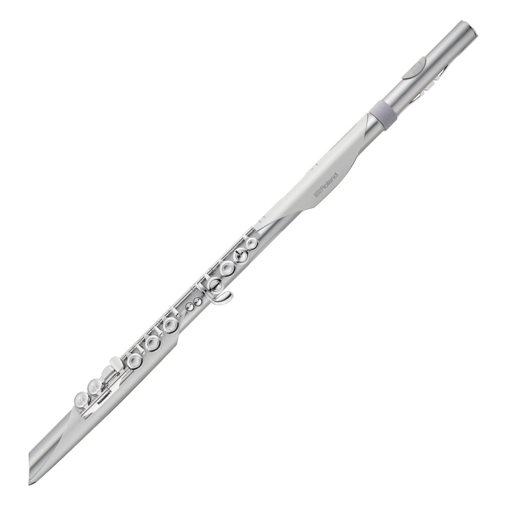 Roland Aerophone Brisa Digital Wind Instrument | Schmitt Music