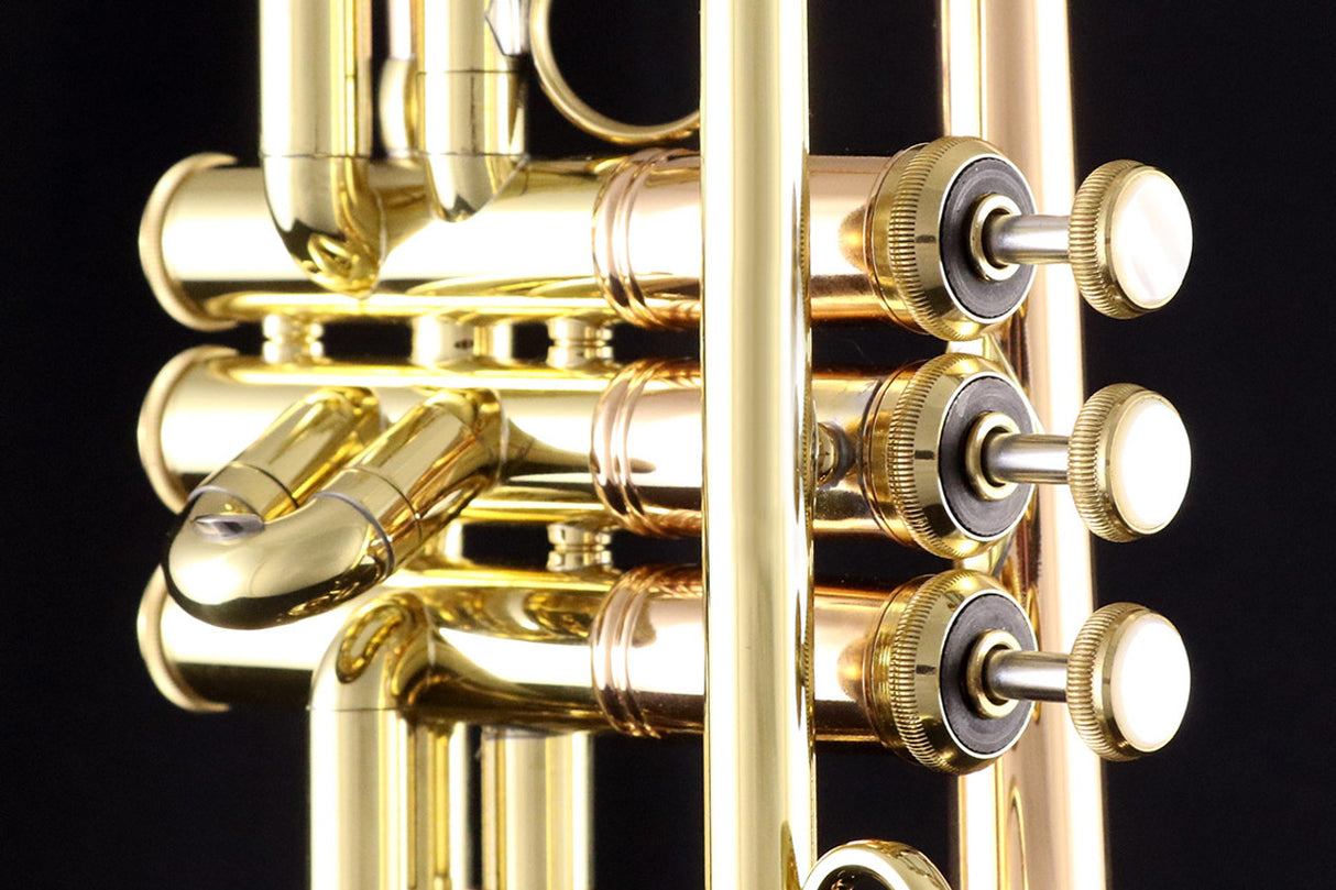 Bach LT190SL1B Commercial Bb Trumpet - close up of valves and valve block