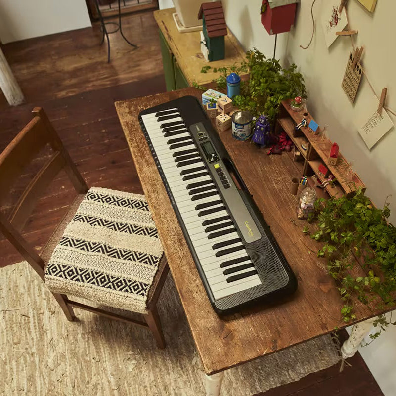 Casio Casiotone LK-S250 Portable Keyboard – Schmitt Music