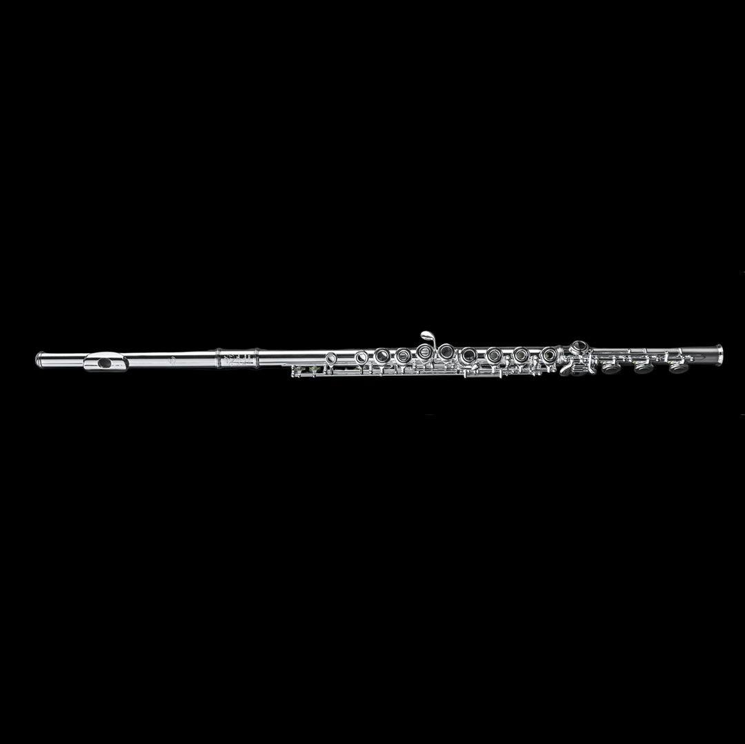 Di Zhao 501 Flute | The Flute Gallery at Schmitt Music