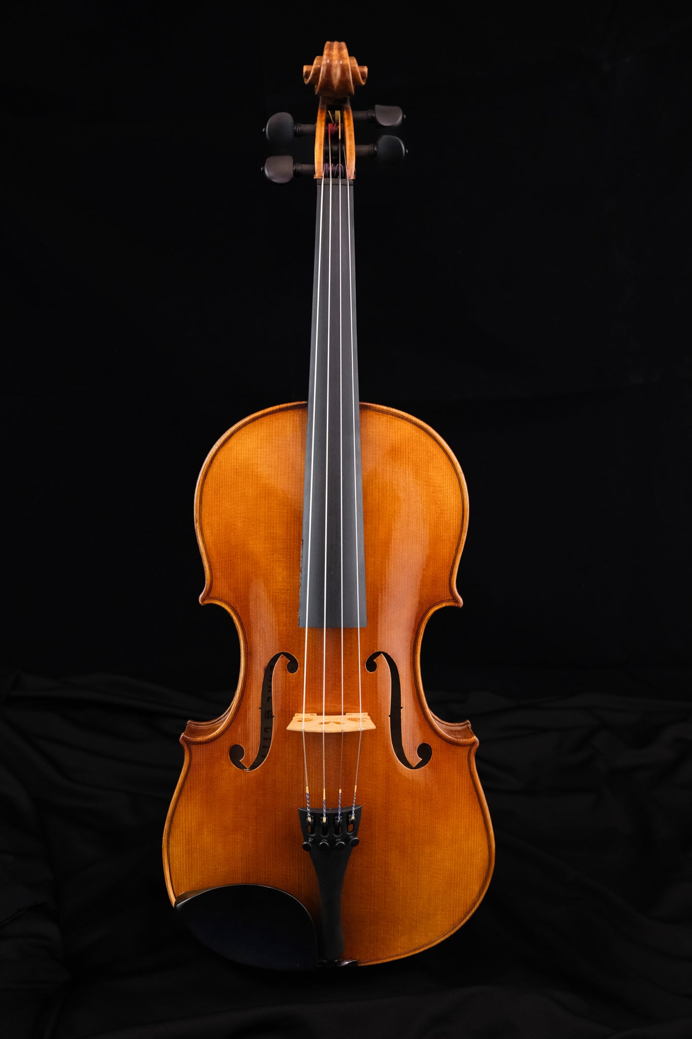 Ellie Claire Viola | The Violin Shop at Schmitt Music