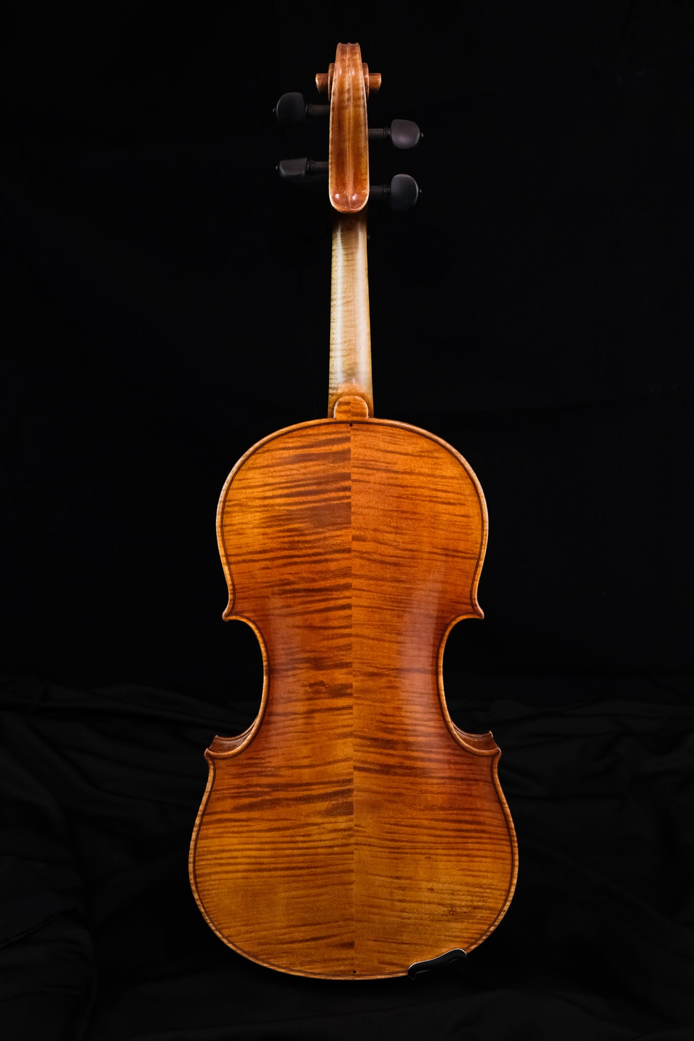 Ellie Claire Viola | The Violin Shop at Schmitt Music